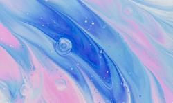 Featured image of post Example Category