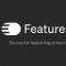 Feature Flags 运行时开关实践